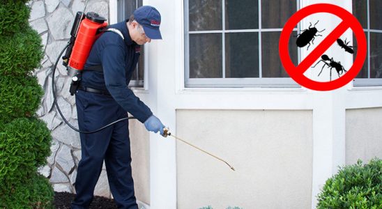 Beydağ Fare İlaçlama böcek ilaçlama ve haşere kontrolü — ilaclama-tr.com